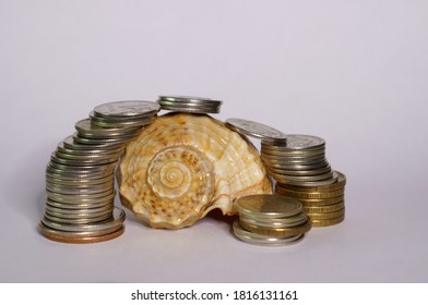 Shell With Coins In Close-up. Money For Travel.