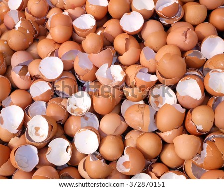 Shell of an Eggs - Eggs Shell background