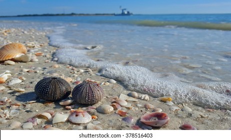 Shell Key Island Beach