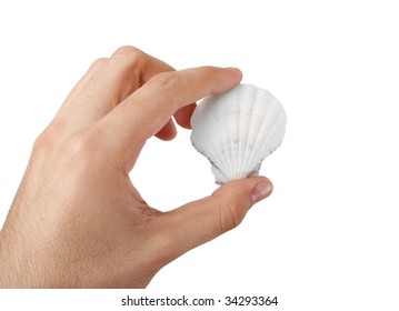Shell in a man hand. Isolated on white.