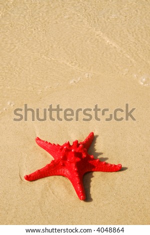 Similar – Image, Stock Photo Toy shovel with starfish on a beach