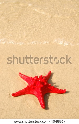 Image, Stock Photo Toy shovel with starfish on a beach