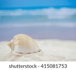 Shell on the beach - copy space