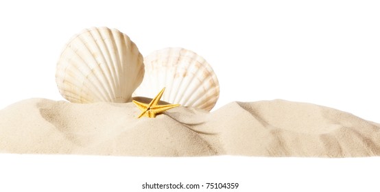 Shell On Beach Isolated On A White Background, Personal Editing Soft Glow