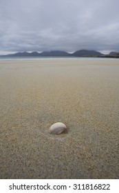 shell on beach with mountains in the background