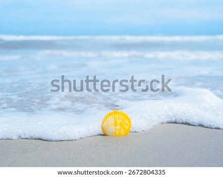 Shell on the beach with ocean waves