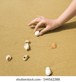 shell on beach. Shells holding in young hands