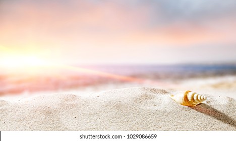 Shell on sand with ocean landscape at sunset time. Free space for your decoration of product or text.  - Powered by Shutterstock