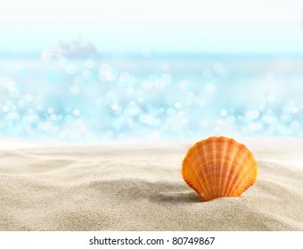 Shell On A Sandy Beach