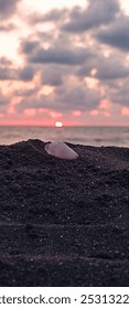 Shell on the sandy beach with a stunning sunset