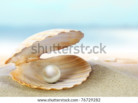 Shell with a pearl