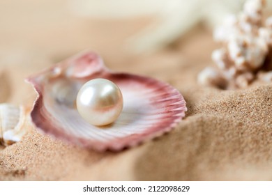 Shell with a pearl closeup