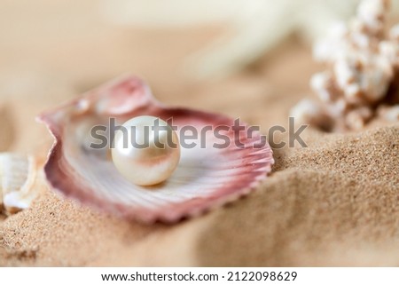 Shell with a pearl closeup