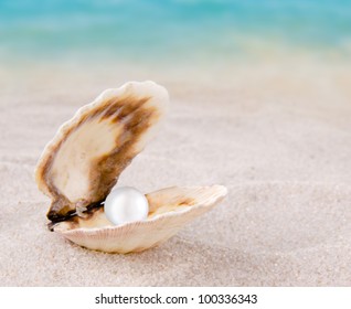 Shell With Pearl On A Beach