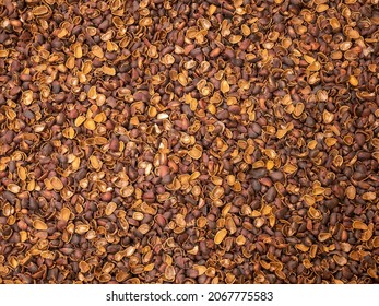 Shell of pine nuts cracked from squirrels. Textured background