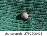 A shell is placed on a green beach towel. Sunlight shines on it as it rests on fabric. The beach scene suggests a summer day near the ocean.