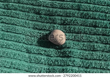 A shell is placed on a green beach towel. Sunlight shines on it as it rests on fabric. The beach scene suggests a summer day near the ocean.