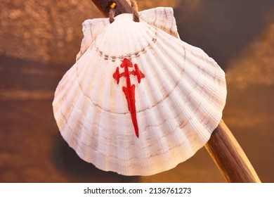 Shell with Santiago cross. Ancient pilgrimage travel route in Spain. 