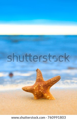 Similar – Image, Stock Photo Sandy beach with toy shovel and starfish