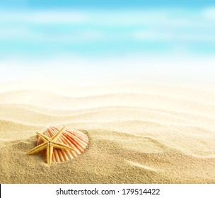 Shell And Starfish On Sandy Beach