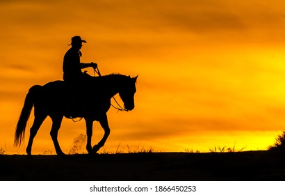 Silhouette Cowboy Riding Horse Sunset Stock Vector (Royalty Free) 220024561