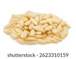 Shelled European pine nuts isolated on white background with full depth of field