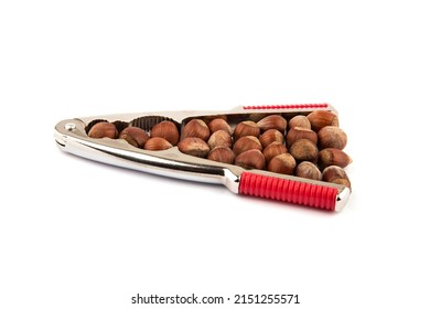 shelled hazelnuts and nutcracker. nuts and nutcracker on a white background