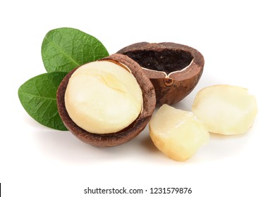 Shelled macadamia nuts with leaves isolated on white background