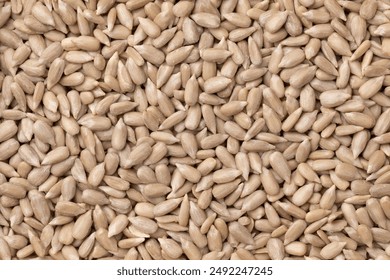 Shelled sunflower seeds close up full frame as background