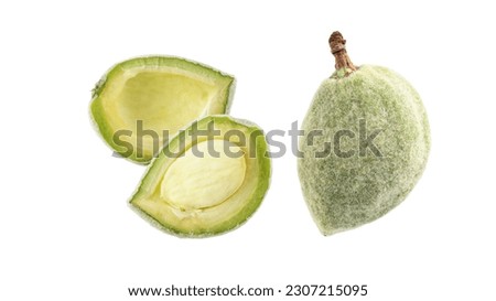 Shelled unripe fluffy green almond  with fresh kernel and whole fruit isolated on white background. Season harvest. Ingredient for healthy food rich of calcium, vitamin E and antioxidants.