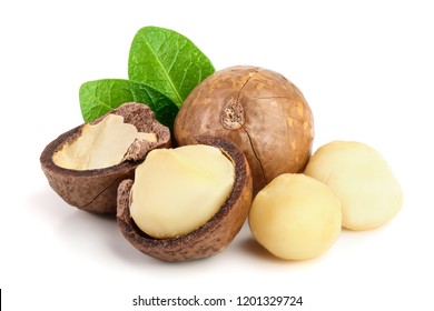 Shelled and unshelled macadamia nuts with leaves isolated on white background
