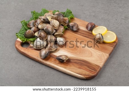 shellfish in the lily family The shell is about 4cm long and 3cm high, and there is a fan base on the shell, and there is a grayish white and grayish blue pattern