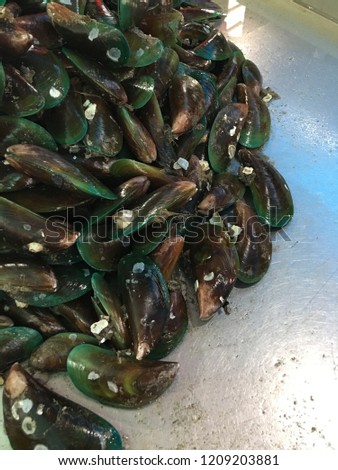 Shellfish or Molluse