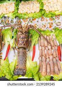 Shellfish plate of crustacean seafood with fresh lobster as an ocean gourmet dinner 