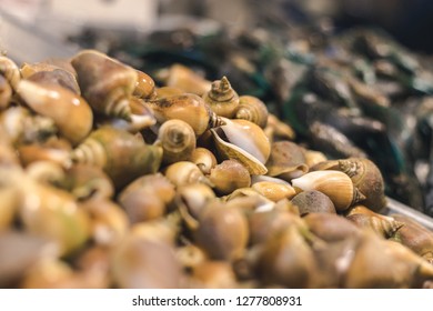 Shellfish With Something Look Like Tower On Top Put On Tray, With Another Mussel In Background