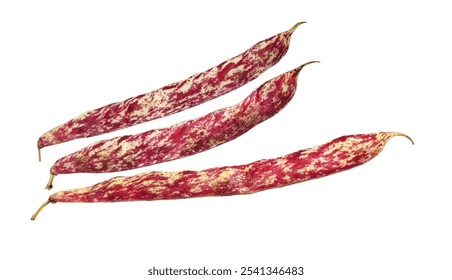 Shellp borlotti beans, characterized by their red speckles, isolated on white background