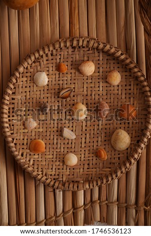 shells and buzios in the candomble temple
