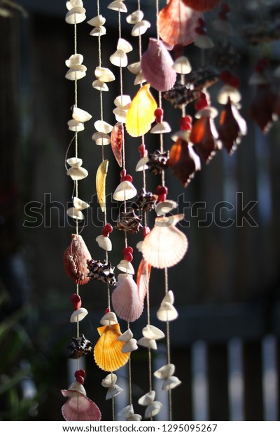 Shells Hanging Edge Door Stock Photo Edit Now 1295095267