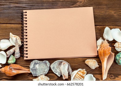 Shells and notepad on wooden table. Top view with copy space