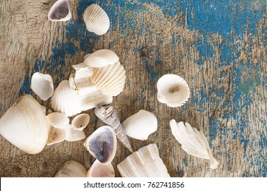shell orivesi