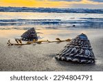 shells on the  beach at sunset in ventura County 