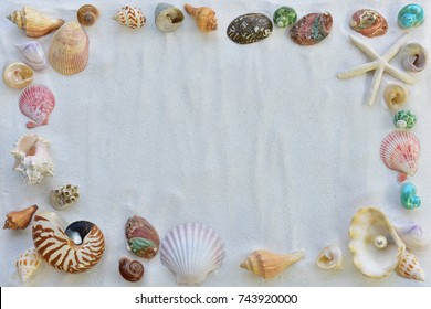 Shells On Sand Beach Frame For Background.