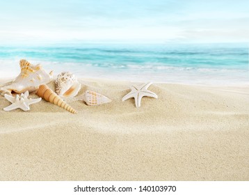 Shells on sandy beach - Shutterstock ID 140103970