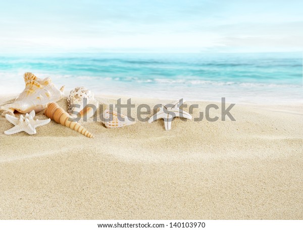 砂浜の貝殻 の写真素材 今すぐ編集