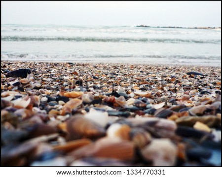 Similar – Stone beach in Brighton, England