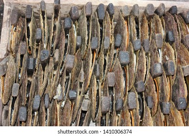 Shells Of Pearl Waiting To Be Inserted Into The Nucleus