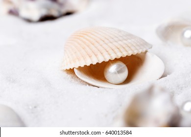 Shells and pearls in the sand