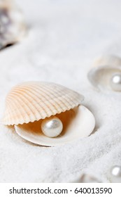 Shells and pearls in the sand