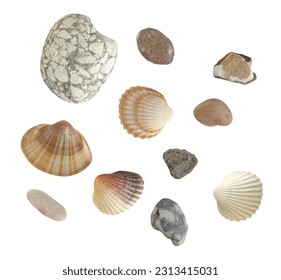 Shells and pebbles. Isolated objects on a white background. For creating collages, posters, postcards, invitations