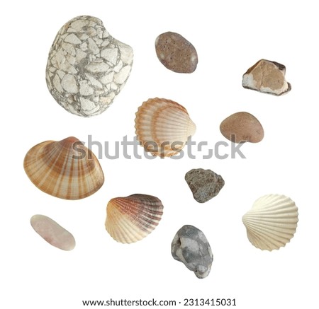Shells and pebbles. Isolated objects on a white background. For creating collages, posters, postcards, invitations